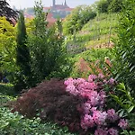 Rebenhaus *