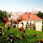 Rebenhaus Meissen