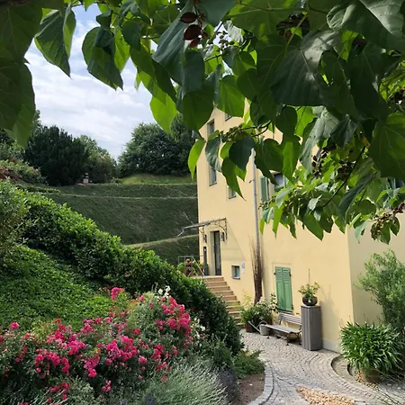 Διαμέρισμα Rebenhaus Meißen