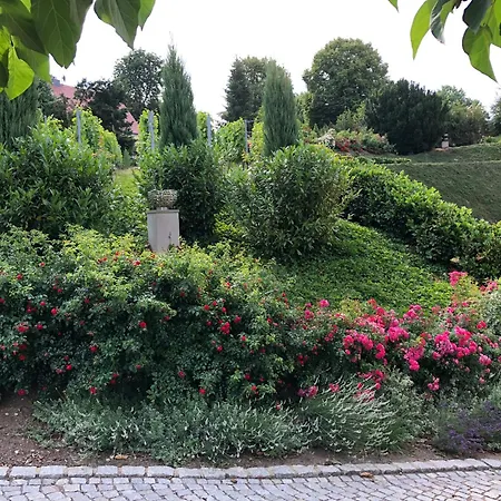 Rebenhaus * Meissen