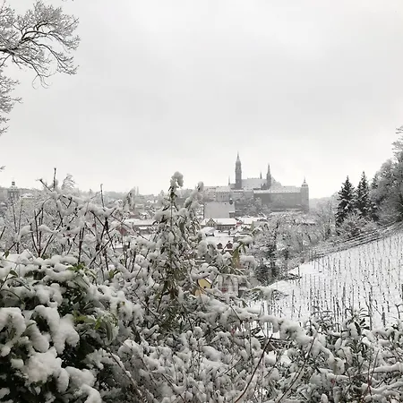 Rebenhaus * Meissen