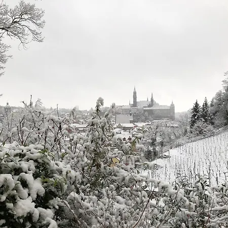 Rebenhaus * Meissen