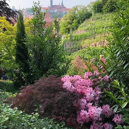 Rebenhaus *