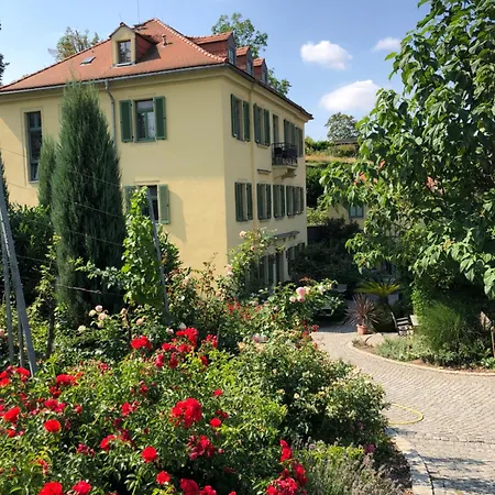 Rebenhaus * Meißen