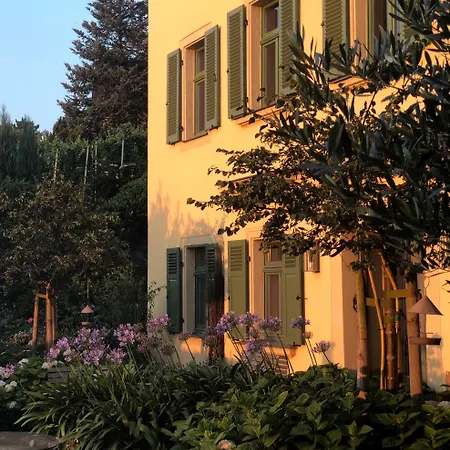 Rebenhaus Apartment