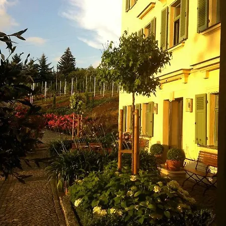 Rebenhaus Meissen