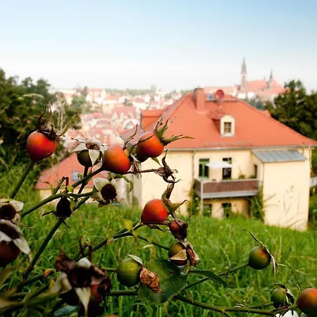 Rebenhaus Meissen